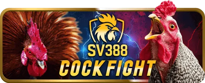 Các loại hình cá cược thể thao Vinvip